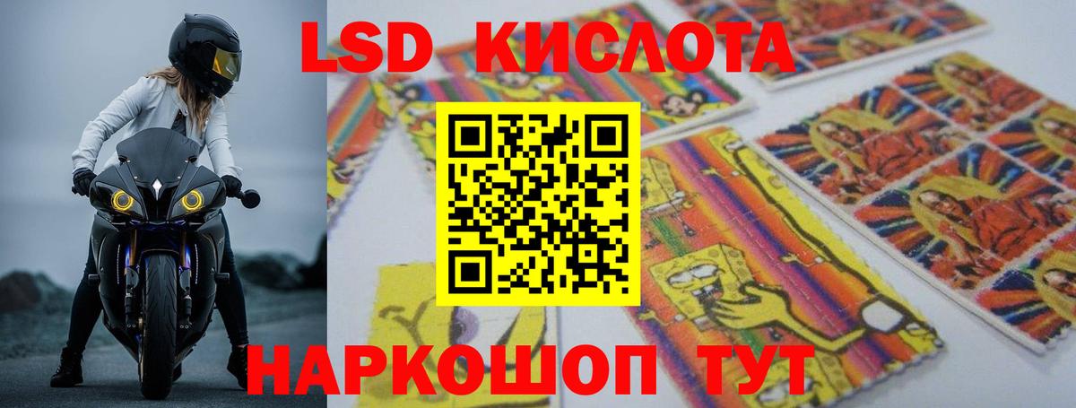 ЛСД экстази  Вход с VPN  LSD-25 экстази ecstasy  Элиста  LSD-25 экстази ecstasy 