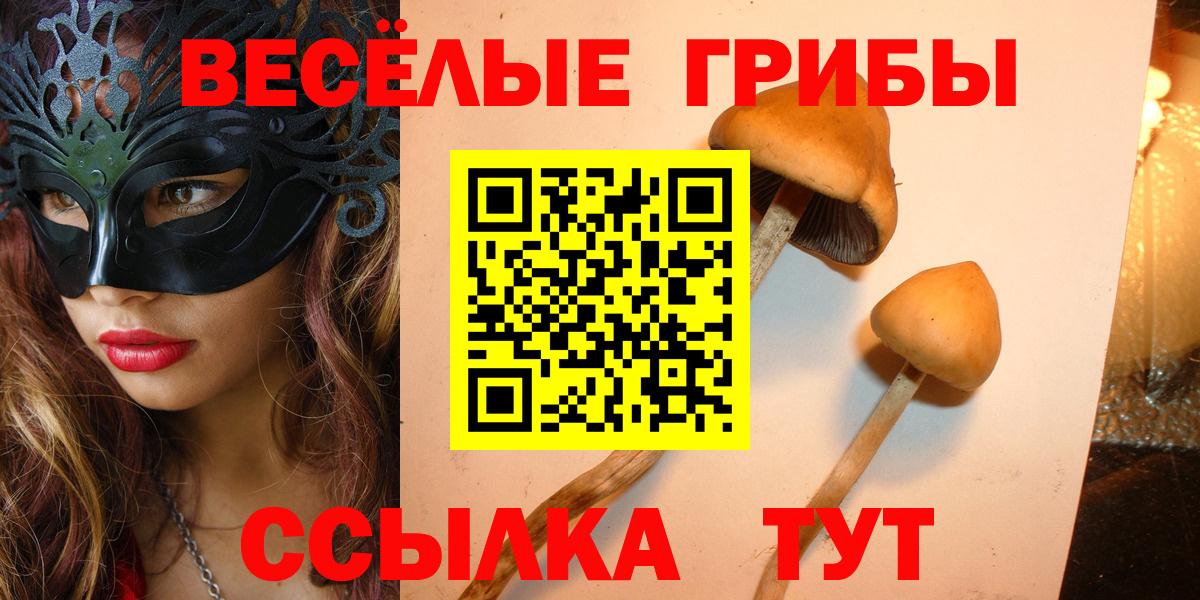 Псилоцибиновые грибы MAGIC MUSHROOMS  Вход с VPN  Псилоцибиновые грибы мицелий  Элиста 